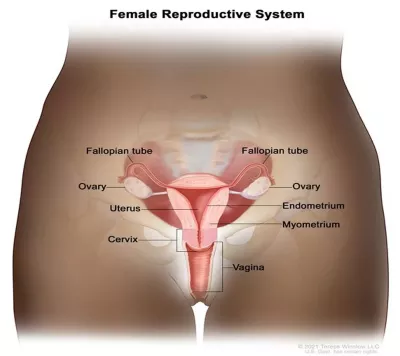 Best laparoscopic surgeon in Patna, laparoscopic gallbladder surgery, laser operation for gall bladder stone, piles doctor in Patna, laser surgery for piles, laser surgery for fissure, laser fistula surgery, laparoscopic appendix surgery, Hernia Surgery in Patna, Best Hernia Surgery in Patna, Laparoscopic Hernia, Surgery in Patna, laparoscopic gallbladder surgery in Patna, laser operation for gall bladder stone in Patna, best laparoscopic surgeon in patna, best piles doctor in patna, hernia surgeon in patna, hernia specialist in patna, hernia center in patna, hernia operation in patna, gallbladder stone surgery in patna, gall bladder stone operation in patna, fistula doctor in patna, top laparoscopic surgeon in patna, general surgeon in patna, fistula laser treatment cost in patna, laser surgery for piles in patna, Laser surgery for Prostate, Laser surgery for Kidney stone, Laser surgery for stone in ureter, Laser surgery for stone in urinary bladder, Best kidney stone surgeon in Patna , Best Prostate surgeon in Patna, Best Urologist in Patna, Best Urethral stricture surgeon in Patna, Best Urinary Bladder stone surgeon in Patna, Piles surgeon in Patna, bawasir surgeon in patna, bawasir doctor in patna. bawasir specialist doctor in patna, bawasir specialist in patna, laser surgery for fissure in patna, laser fistula surgery in patna, laparoscopic appendix surgery in Patna